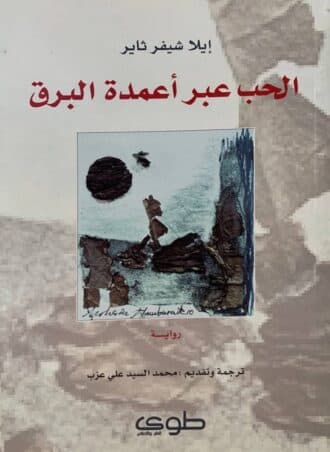 الحب عبر أعمدة البرق
